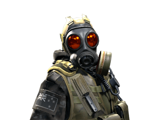 NZSAS