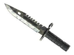 ★ M9 Bayonet | Stained (Battle-Scarred)