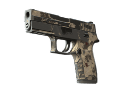 P250 | Black & Tan (Battle-Scarred)