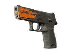 P250 | Splash (Field-Tested)