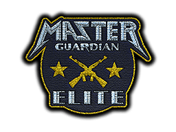 Metal Master Guardian Elite