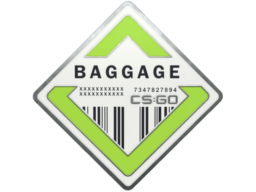 Baggage Pin