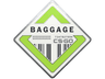 Baggage Pin