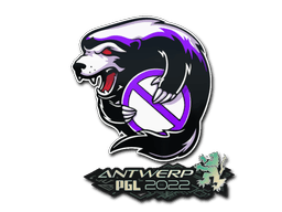 Outsiders | Antwerp 2022