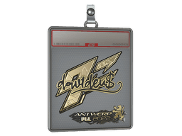 Sticker Slab | dav1d (Gold) | Antwerp 2022