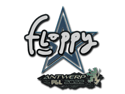 floppy | Antwerp 2022