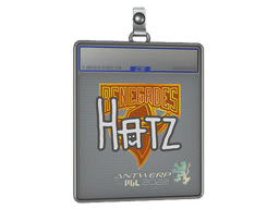 Sticker Slab | hatz | Antwerp 2022
