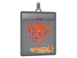 Sticker Slab | hatz (Holo) | Antwerp 2022