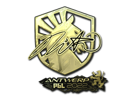 nitr0 (Gold) | Antwerp 2022