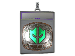 Sticker Slab | Imperial Esports (Foil) | Austin 2025