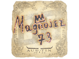 Sticker | Magnojez | Austin 2025