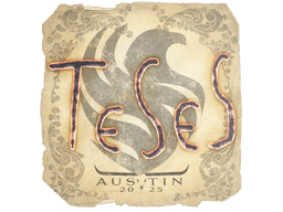 Sticker | TeSeS | Austin 2025