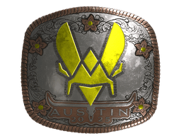 Sticker | Vitality (Foil) | Austin 2025