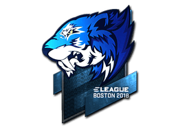 Flash Gaming (Foil) | Boston 2018
