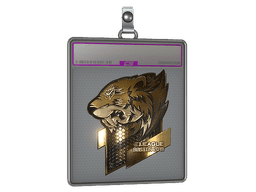 Sticker Slab | Flash Gaming (Gold) | Boston 2018
