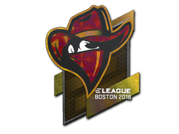Renegades (Holo) | Boston 2018