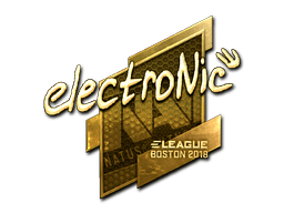 electronic (Gold) | Boston 2018