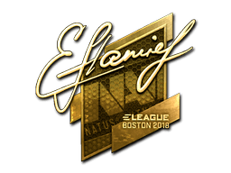 flamie (Gold) | Boston 2018