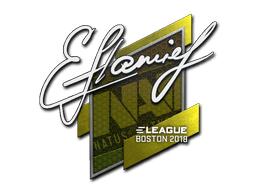 flamie | Boston 2018