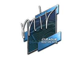 mir | Boston 2018