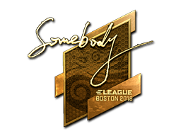 somebody (Gold) | Boston 2018