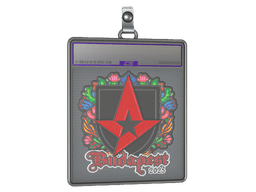 Sticker Slab | Astralis (Embroidered) | Budapest 2025