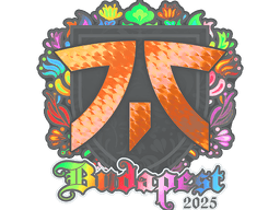 Sticker | fnatic (Holo) | Budapest 2025