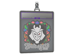Sticker Slab | G2 esports (Embroidered) | Budapest 2025