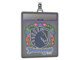 Sticker Slab | Team Liquid (Embroidered) | Budapest 2025