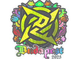 Sticker | Ninjas in Pyjamas (Holo) | Budapest 2025