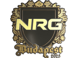 Sticker | NRG (Gold) | Budapest 2025