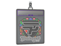 Sticker Slab | paiN Gaming (Embroidered) | Budapest 2025