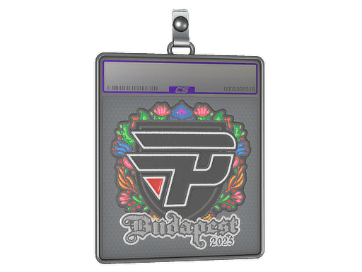 paiN Gaming (Embroidered) | Budapest 2025