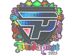 Sticker | paiN Gaming (Holo) | Budapest 2025