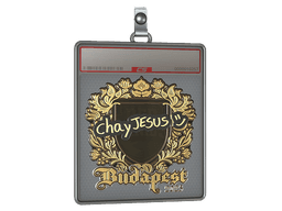 Sticker Slab | chayJESUS (Gold) | Austin 2025