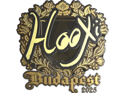 Sticker | HooXi (Gold) | Budapest 2025