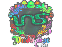 Sticker | INS (Holo) | Budapest 2025