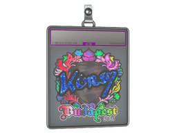 Sticker Slab | Kursy (Holo) | Budapest 2025