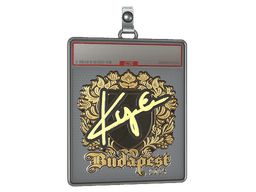 Sticker Slab | kye (Gold) | Austin 2025