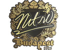 Sticker | nitr0 (Gold) | Budapest 2025