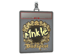 Sticker Slab | r1nkle (Gold) | Budapest 2025