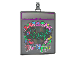 Sticker Slab | regali (Holo) | Austin 2025