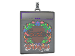 Sticker Slab | Sonic (Embroidered) | Budapest 2025