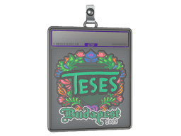 Sticker Slab | TeSeS (Embroidered) | Budapest 2025