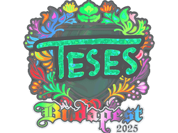 Sticker | TeSeS (Holo) | Budapest 2025