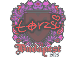 Sticker | torzsi | Budapest 2025