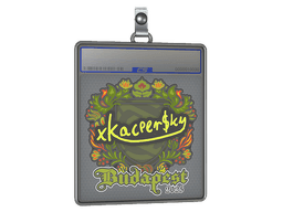 Sticker Slab | xKacpersky | Budapest 2025