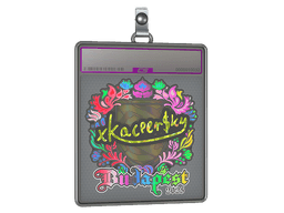 Sticker Slab | xKacpersky (Holo) | Budapest 2025