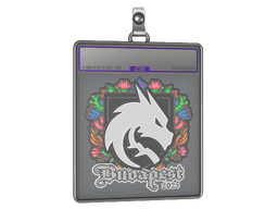 Sticker Slab | Team Spirit (Embroidered) | Budapest 2025