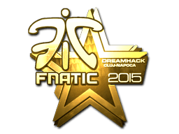 Fnatic (Gold) | Cluj-Napoca 2015